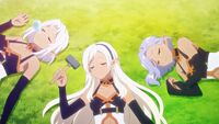 223