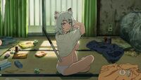 255