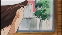 516