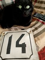 197